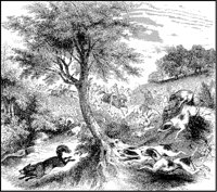 Fox Hunt.tif