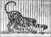 Tiger Behind Bars.tif