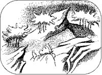 King with Rocks and Trees.tif