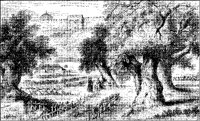 Garden of Gethsemane.tif