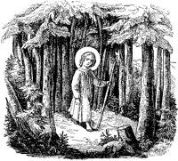 Holy Child In Forest.tif