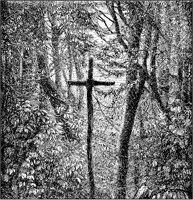 Moonlit Forest Cross.tif