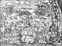 Creation of Animals 1.tif