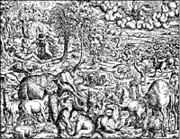 Creation of Animals 2.tif