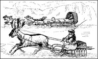 Reindeer and Dog Sledges.tif