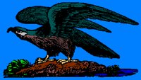 BIRD09.PCX