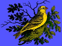 BIRD05.PCX