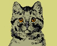 CATS11.PCX