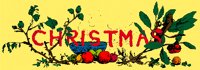 XMAS35.PCX