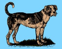 DOGS08.PCX