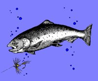FISH17.PCX
