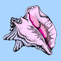FISH14.PCX