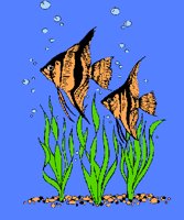 FISH04.PCX