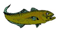 FISH03.PCX