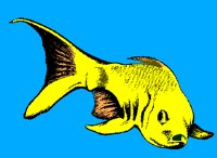 FISH02.PCX