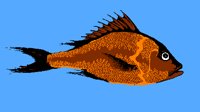 FISH01.PCX