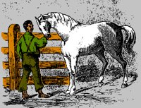 HORSE3.PCX