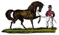 HORSE2.PCX