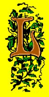 LTR196.PCX
