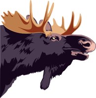 MOOSE.WMF