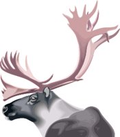 CARIBOU.WMF