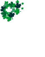 LEAFBDR6.WMF