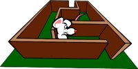 RATMAZE.WMF