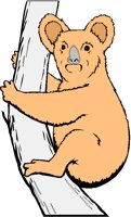 KOALA.PCX