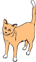 CAT.PCX