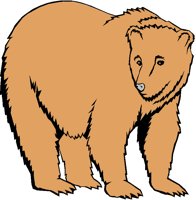 BEAR.PCX