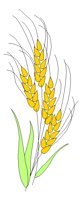 WHEAT.PCX