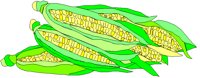 CORN.PCX