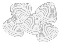 CLAMS.PCX