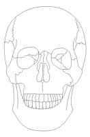 SKULFRNT.PCX