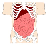 INTERNAL.PCX