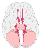 BRAINFUL.PCX