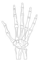 BONEHAND.PCX