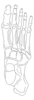 BONEFOOT.PCX
