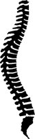 SPINE.PCX