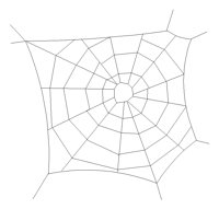 SPIDRWEB.PCX