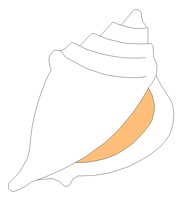 SEASHELL.PCX