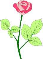 ROSE.PCX