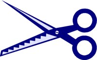 SCISSRS1.TIF