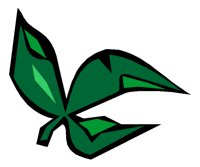 LEAF2.TIF