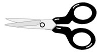 SCISRS2.TIF