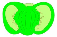 VEGTBL3.TIF