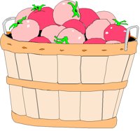 TOMATOES.TIF