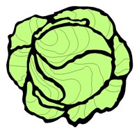 LETTUCE.TIF