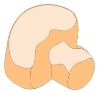 GARNSH8.TIF