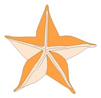 GARNSH2.TIF